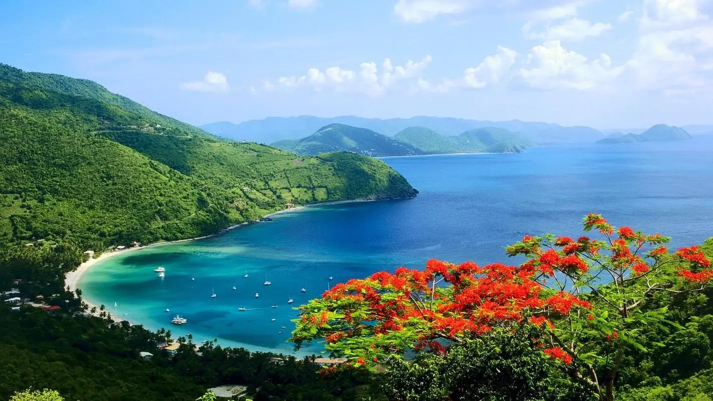 高效智能新型
